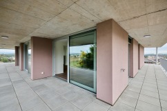 buzzurro_pervenches7_lot7_36_web