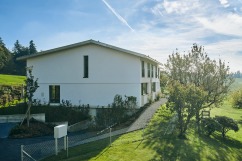 buzzurro_foret_07_web